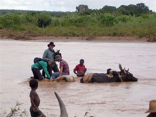 Madagascar - Attraversamento del guado